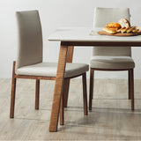 FLEX Dining Chair