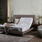 DRIFT Adjustable Bed + Natura Mattress and USB Ports