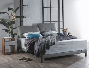 Gaze Bedframe (Half Leather)  with USB Ports and Bluetooth Speakers