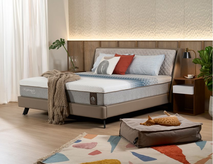 Slant Bed Frame with Removable Quilted Cushion