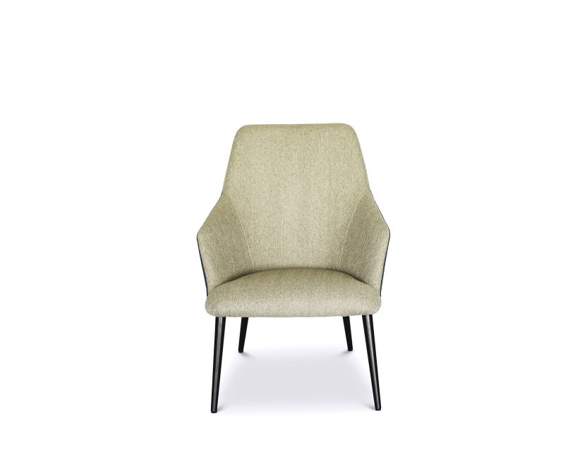 Dina Fabric Armchair