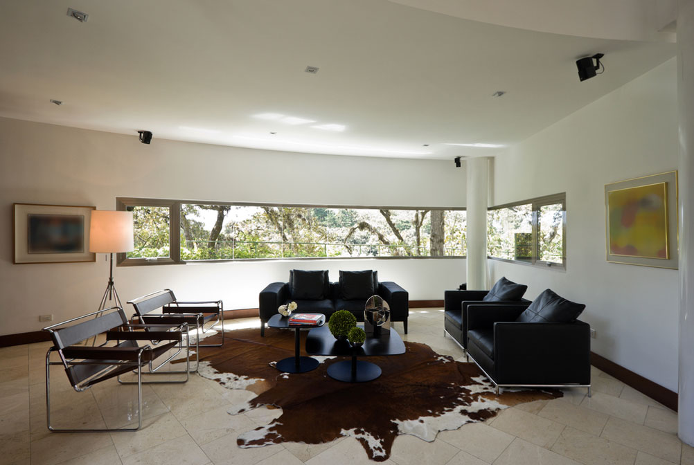Leather Living Room Rugs 